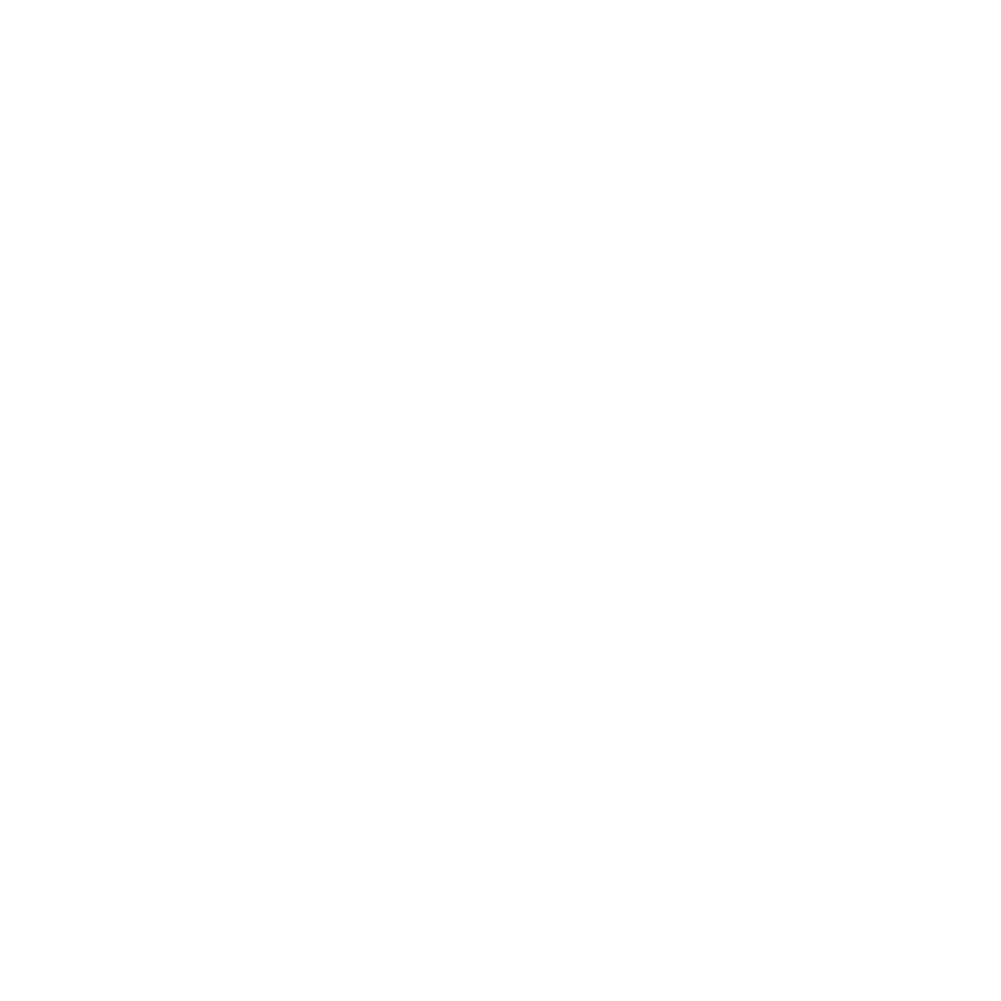 morningstar logo